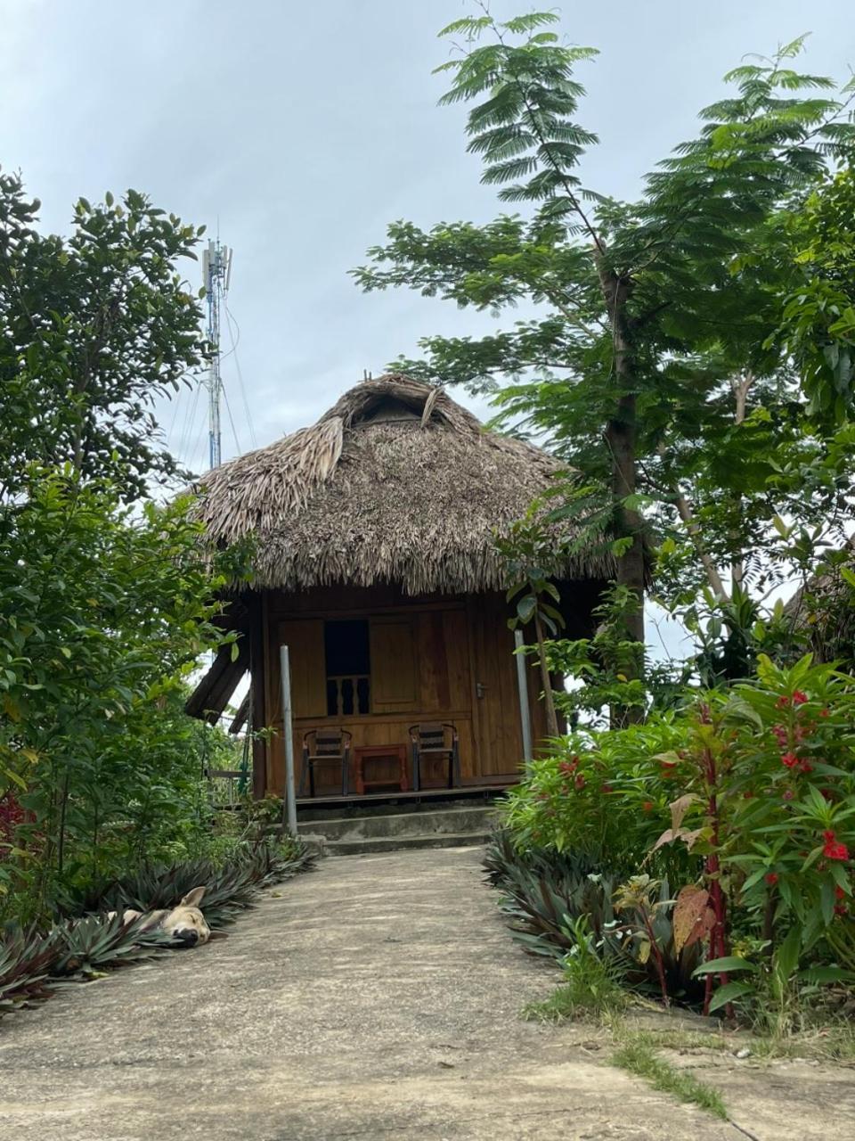 Cuc Phuong Bungalow Nho Quan Exteriér fotografie